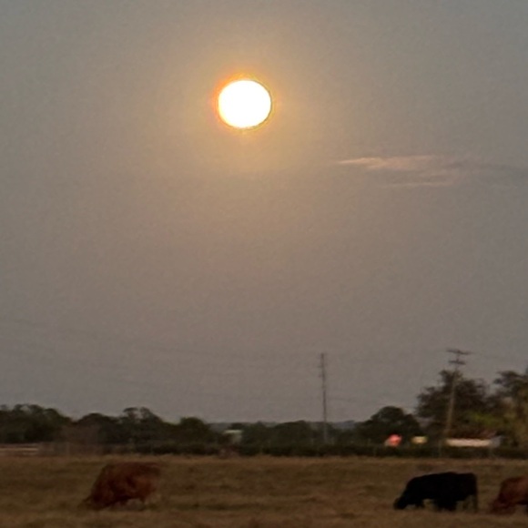 Meet your Posher, Kailey - Picture 1 of 1